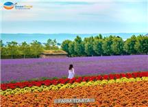 Tour Du Lịch Nhật Bản Khám Phá Hokkaido Hè 2024